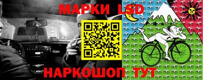 гашик Кулебаки