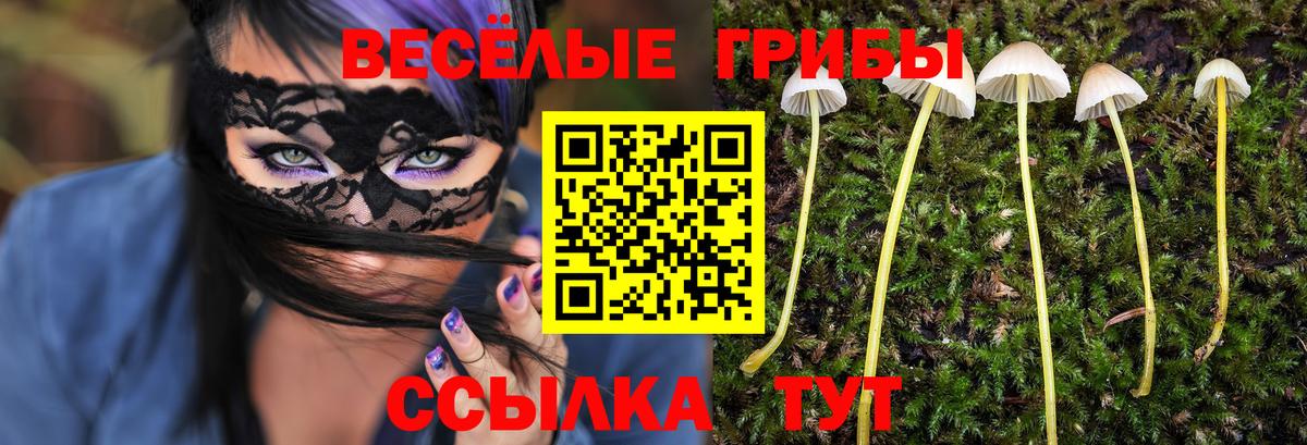 Керчь  Псилоцибиновые грибы MAGIC MUSHROOMS  Вход с VPN  где купить наркоту  Псилоцибиновые грибы мицелий 